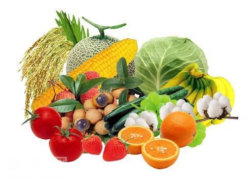 防癌食物是否靠谱?水果蔬菜防癌证据多(图) - 健