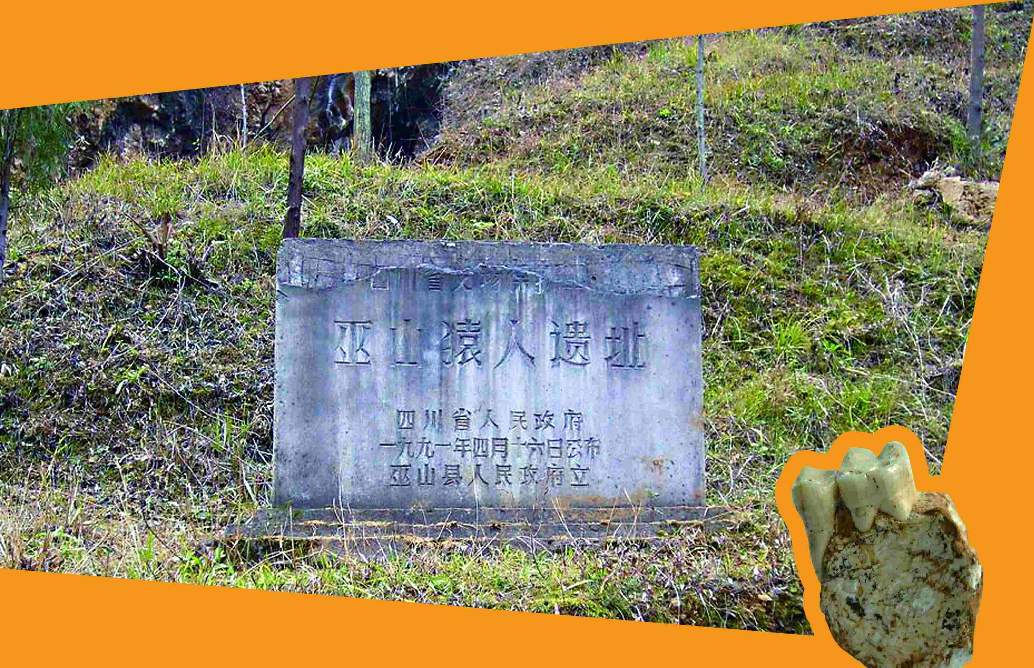 重庆市巫山县庙宇镇龙骨坡遗址中含"巫山人"化石的地层,其地质时代为