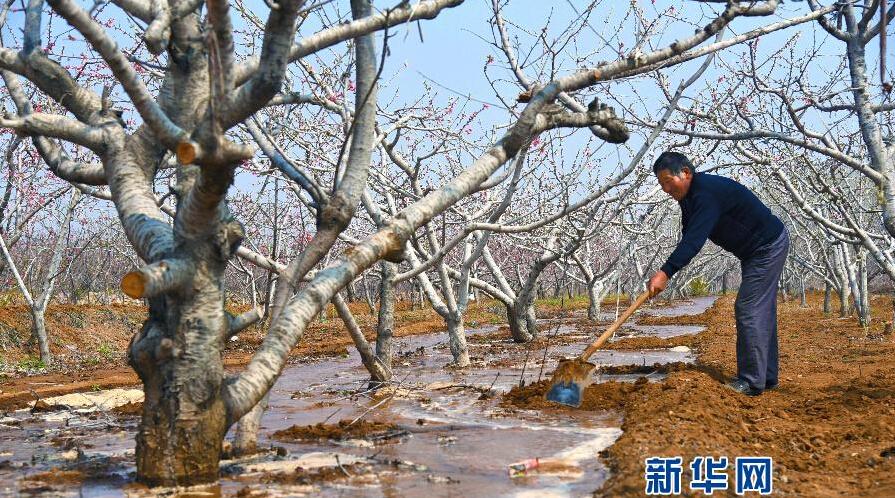 及時雨降臨緩解山東持續旱情 深度分析山東抗旱形勢（圖）