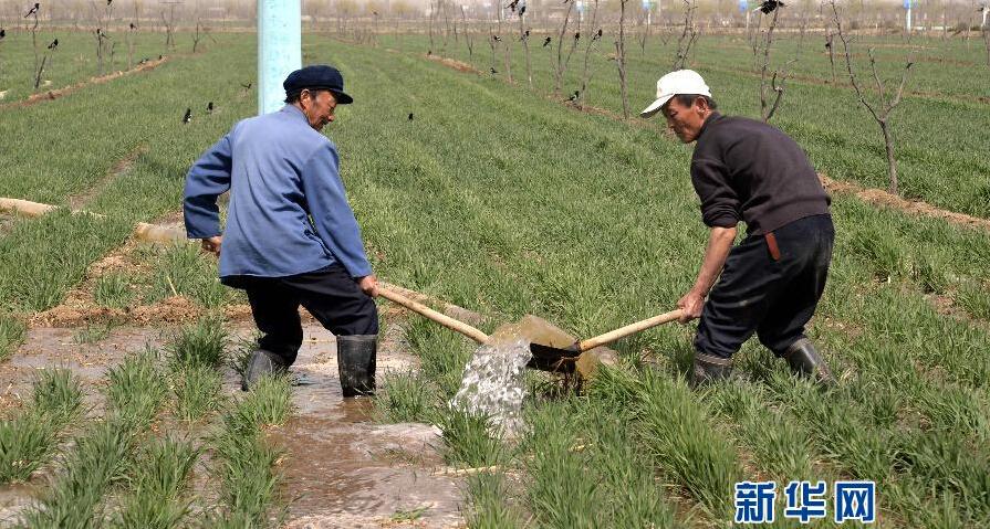 及時雨降臨緩解山東持續旱情 深度分析山東抗旱形勢（圖）