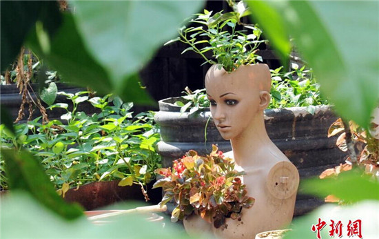四川达州一阳台塑料模特头顶开花 变人模盆