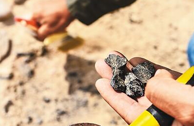 新疆发现中国最早用煤遗迹 距今约3500年（图）