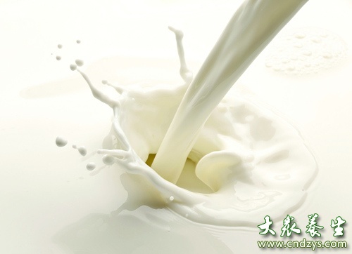四招辨别纯鲜牛奶 - 中国网山东滚动要闻 - 中国