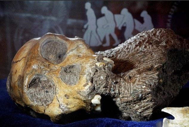 南非现三百万年前新人种遗骸 安葬习俗或颠覆
