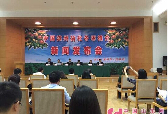 第十七届滨州沾化冬枣节9月29日开幕 总产有望超6亿斤（图）