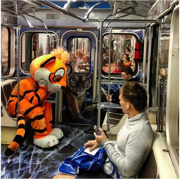 莫斯科地铁换新装庆祝老虎日活动组图 - 中国