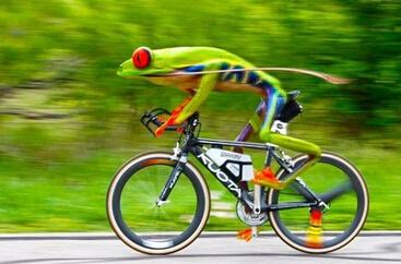 英国男子公园内骑自行车超速吃罚单 他到底骑
