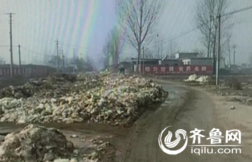山東兩鄉鎮扔的白菜幫堆積成山 清理費每年花10萬(圖)