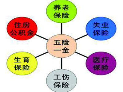 五險一金存下調空間 養老保險或成降費“主戰場”（圖）