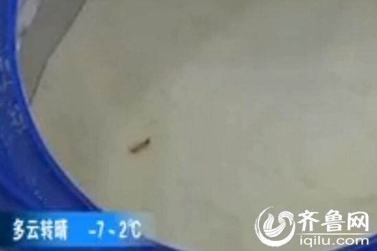 青島：奶粉裏吃出五毫米“活蟲” 廠家稱無法確定來源(圖)