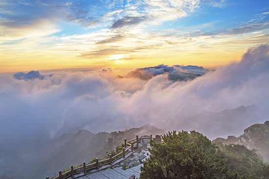 龜蒙景區 天然氧倉（組圖）