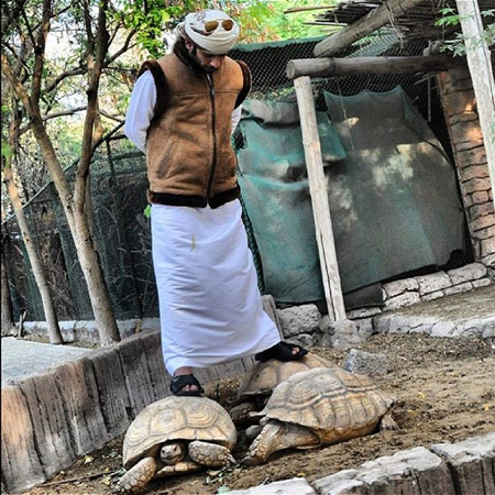 土豪養獅子出逃 盤點世界不同尋常的猛獸寵物（組圖）