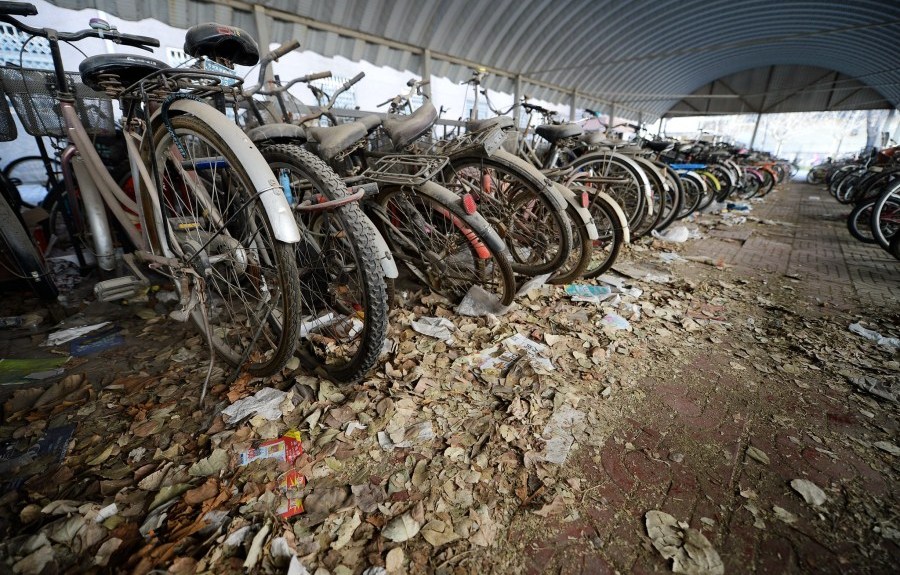 高校現自行車墳場 遍地“車屍”網友嘆：大學生真壕