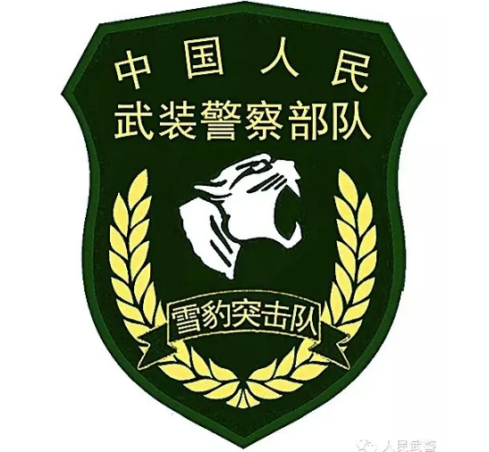 中国武警部队5月1日将统一更换新式标志服饰(组图)