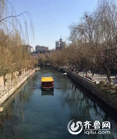 濟南的護城河已經有了春天的味道。