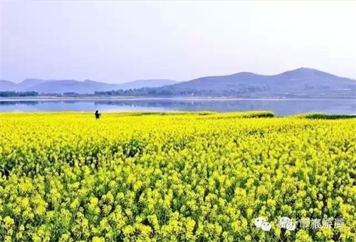 史上最全蘭山區春季賞花攻略（組圖）