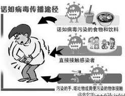 廣州一學校發現諾如病毒學生嘔吐腹瀉 學校已停課（組圖）