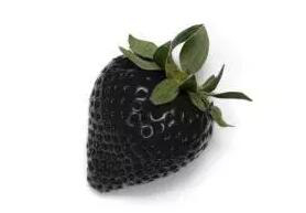 網上的黑草莓圖片。
