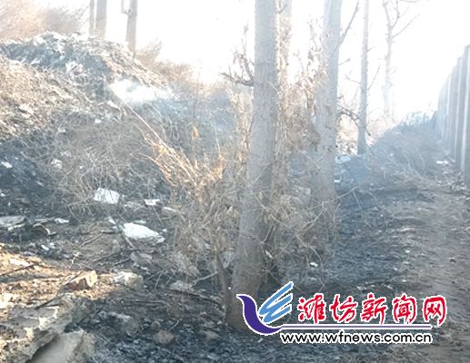 潍坊一垃圾带起火紧挨纺织厂 幸亏消防人员及时处理