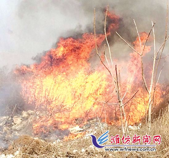 潍坊一垃圾带起火紧挨纺织厂 幸亏消防人员及时处理