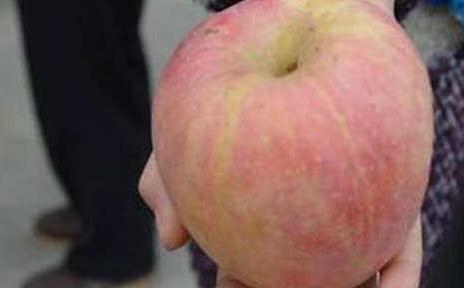 救女兒醫院賣蘋果
