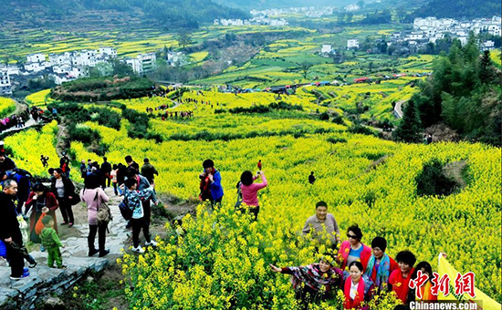 江西最美乡村万亩油菜花盛开  “唐僧师徒”助阵（组图）