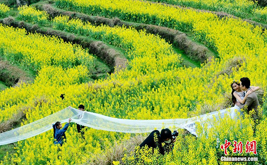 江西最美鄉村萬畝油菜花盛開  “唐僧師徒”助陣（組圖）