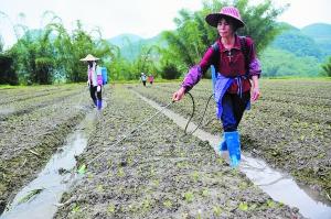 農村兩權抵押貸款試點啟動 風控方面明確底線（組圖）