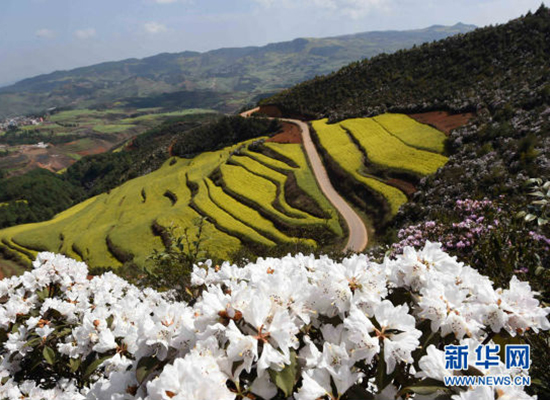 清明去哪兒？八處踏青任你選（組圖）