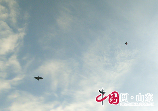 濱州：清明時節話紙鳶 放風箏的這些技巧你會麼？