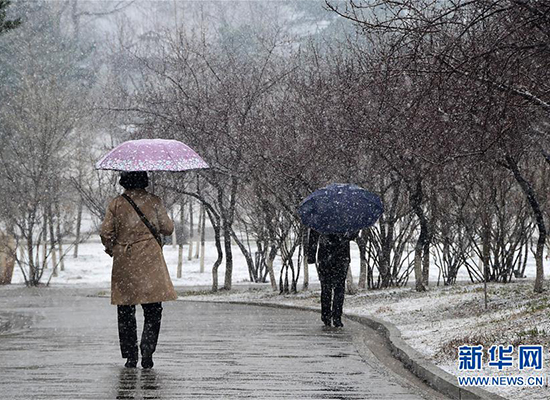 吉林長春四月飄雪（組圖）