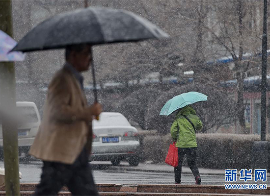 吉林長春四月飄雪（組圖）