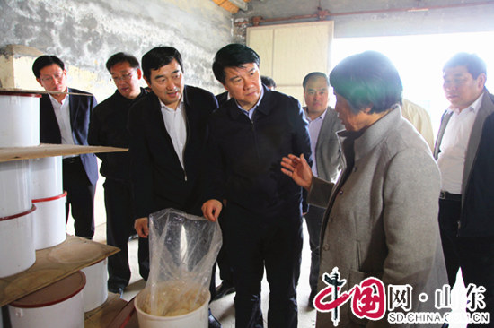 濱州市長崔洪剛：推廣試點工作經驗 發揮典型示範引路作用