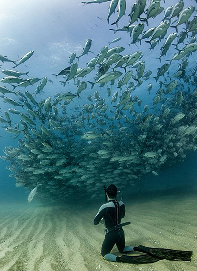 50歲探險家海底探險 抓拍魚群龍捲風（組圖）