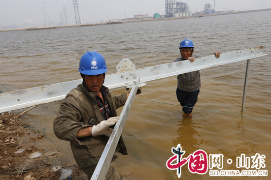山东滨州供电公司：海水中建设220千伏海丰输电线路
