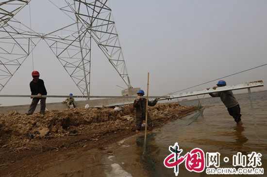 山东滨州供电公司：海水中建设220千伏海丰输电线路