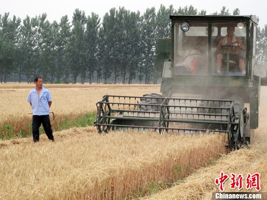 中国粮食库存处于历史最高位 粮食进口大量增长