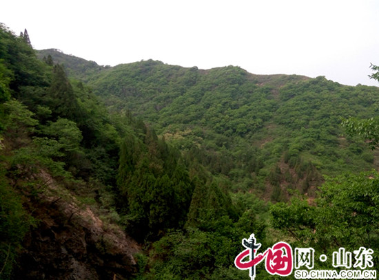 濱州鄒平鶴伴山：滿山蒼翠  綠樹成蔭