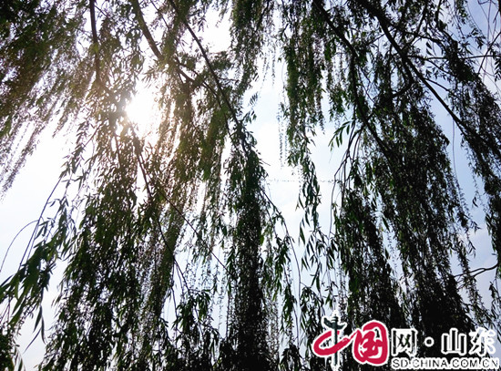 濱州：新濱公園風景好  假日何必去江南