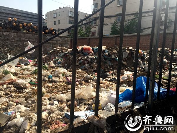 在後龍窩莊村委會附近的一處院落裏，成堆的垃圾散發著臭味。