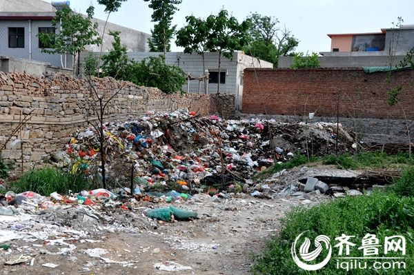 記者在黨東和黨西村交界處發現一處居民用來扔垃圾的地方，現場情形令人不願描述。
