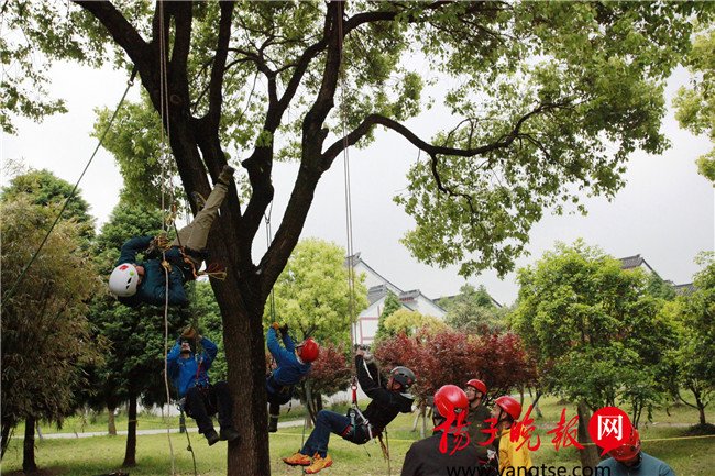 蘇州校園將開設“爬樹課” 要打分計入學期成績(組圖)