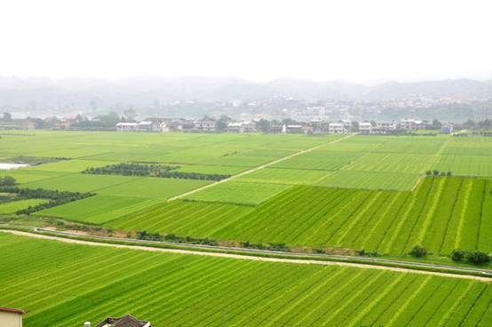 山东省农村土地综合整治项目预算编制其他费用具体取费标准