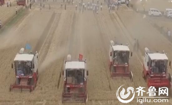 山東小麥開機收穫儀式今天濟寧嘉祥舉行