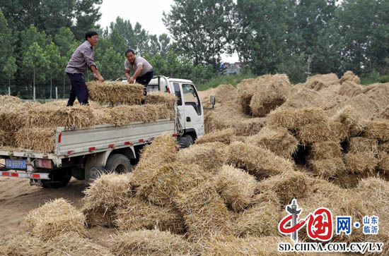 郯城：秸稈發電 變廢為“寶”(組圖）