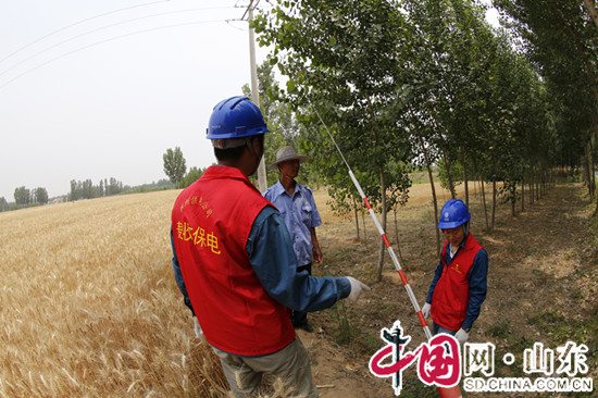 国家电网滨州供电公司:麦收保电流动服务队受