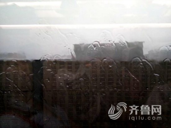 網友拍攝到的降雨照片