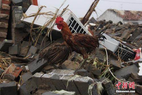 6月23日，江蘇省鹽城市阜寧縣突遭強冰雹、龍捲風雙重災害襲擊。圖為阜寧縣吳灘鎮立新村遭遇龍捲風襲擊後一片狼藉。中新社記者 谷華 攝