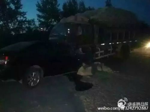 高考生無證酒駕 與超載貨車相撞4人當場死亡（組圖）