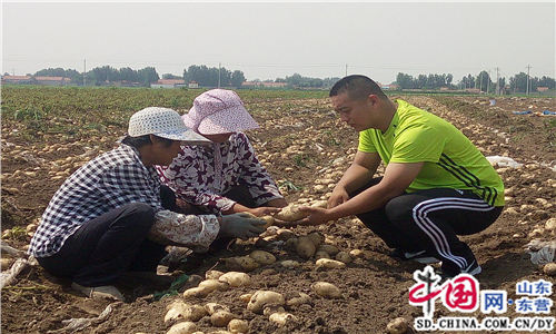 广饶县第一书记帮扶农村 让农民踏上致富路（图）